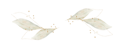 Progetto senza titolo (8)